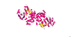 G Protein-Coupled Receptor Kinase